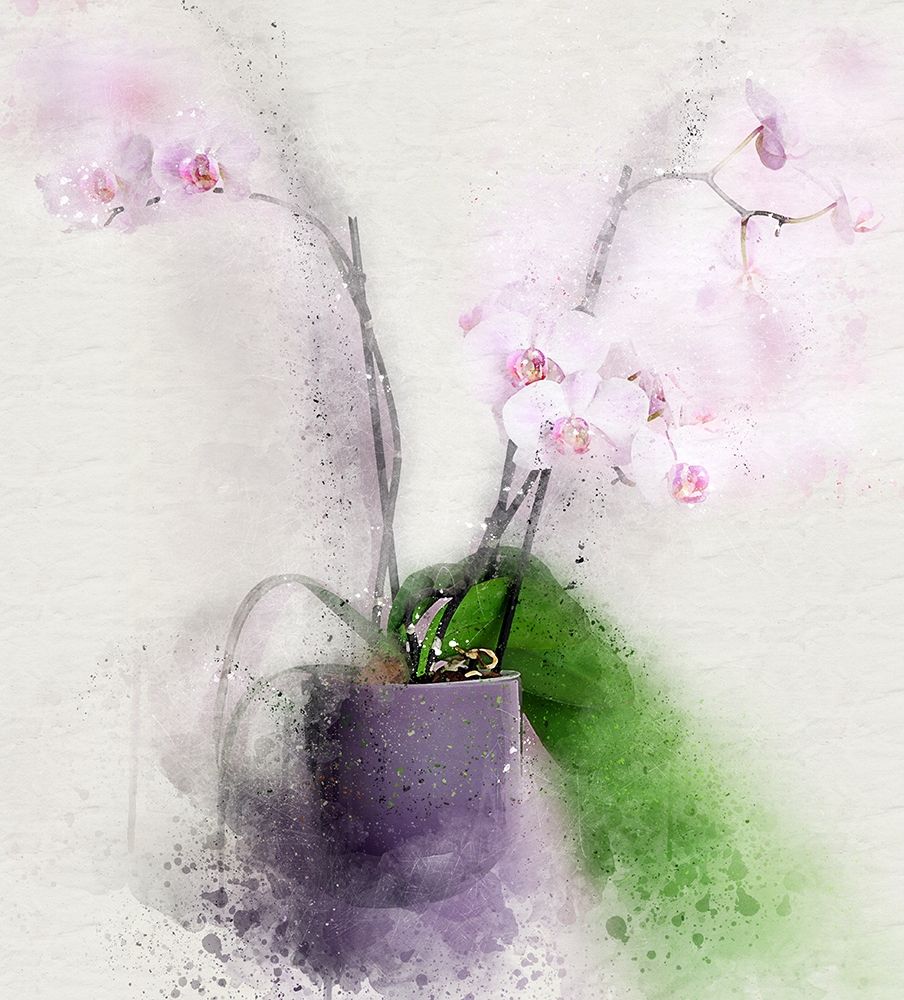 Pink Orchids II art print by Ronald Bolokofsky for $57.95 CAD