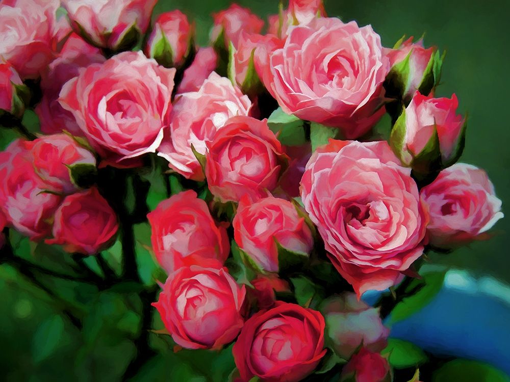 Pot of Roses art print by Ronald Bolokofsky for $57.95 CAD