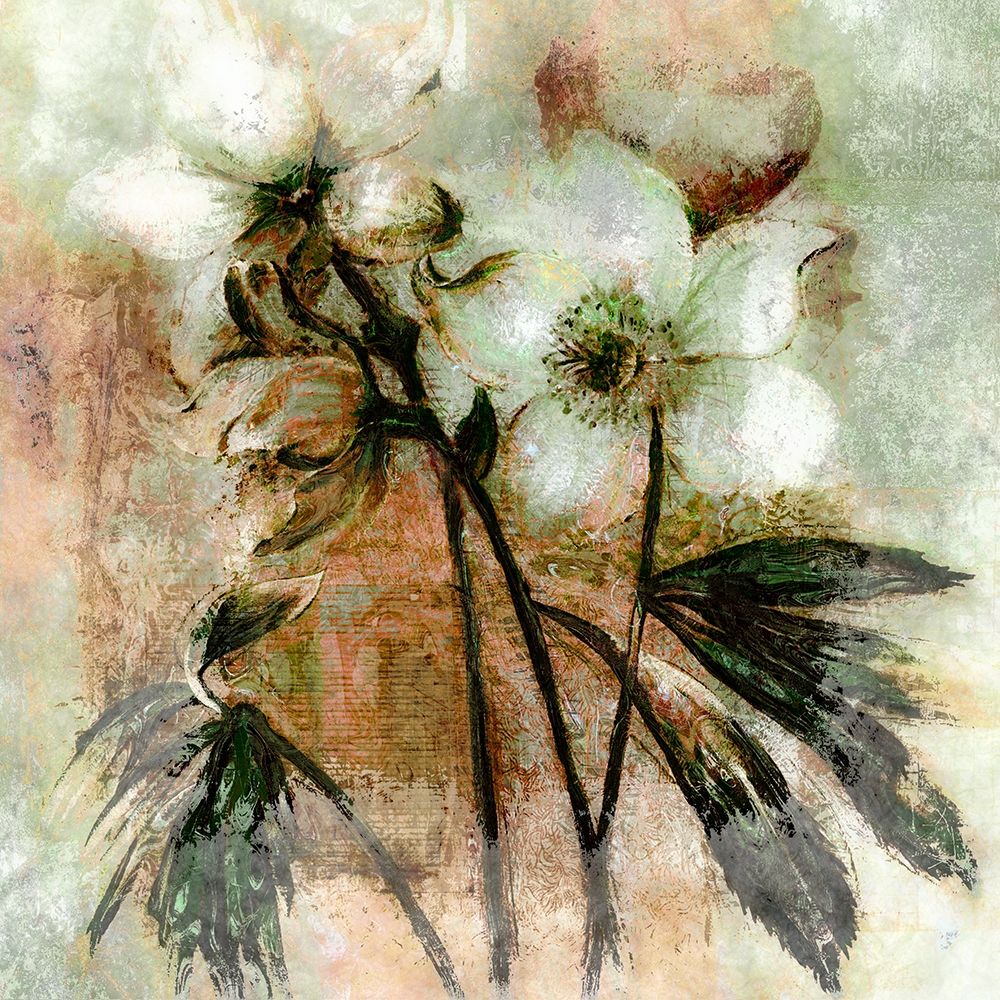 White Petals I art print by Ronald Bolokofsky for $57.95 CAD