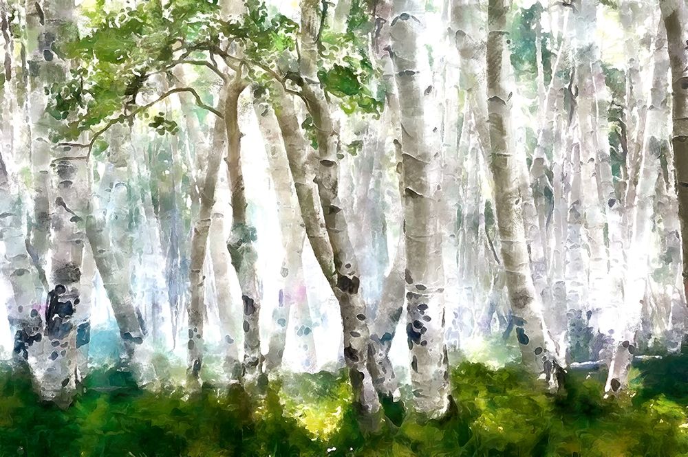 Elm Forest art print by Ronald Bolokofsky for $57.95 CAD