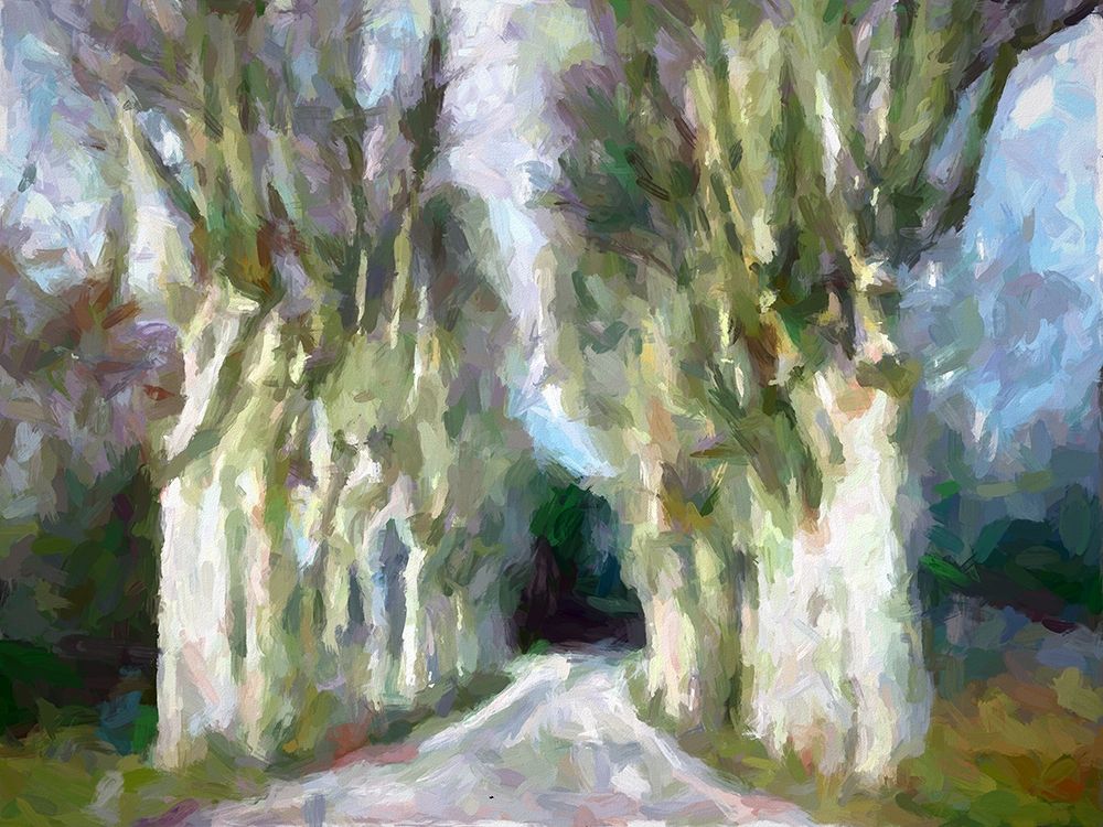 A Road Less Traveled art print by Ronald Bolokofsky for $57.95 CAD