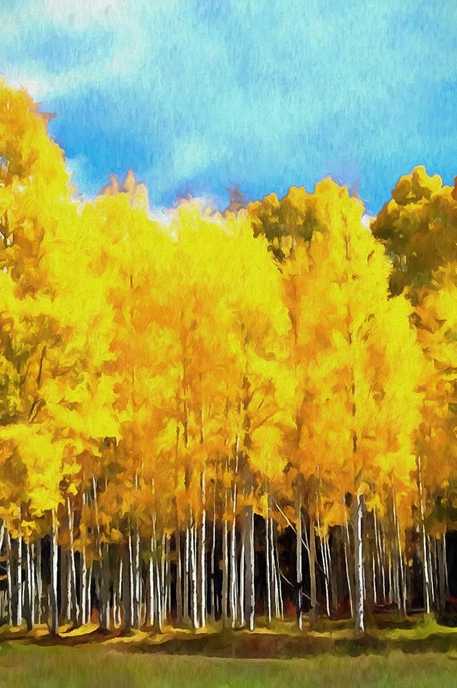 Autumn Gold art print by Ronald Bolokofsky for $57.95 CAD
