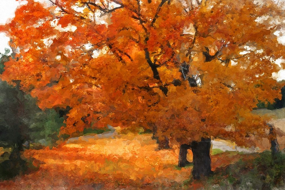 Autumn Landscape art print by Ronald Bolokofsky for $57.95 CAD
