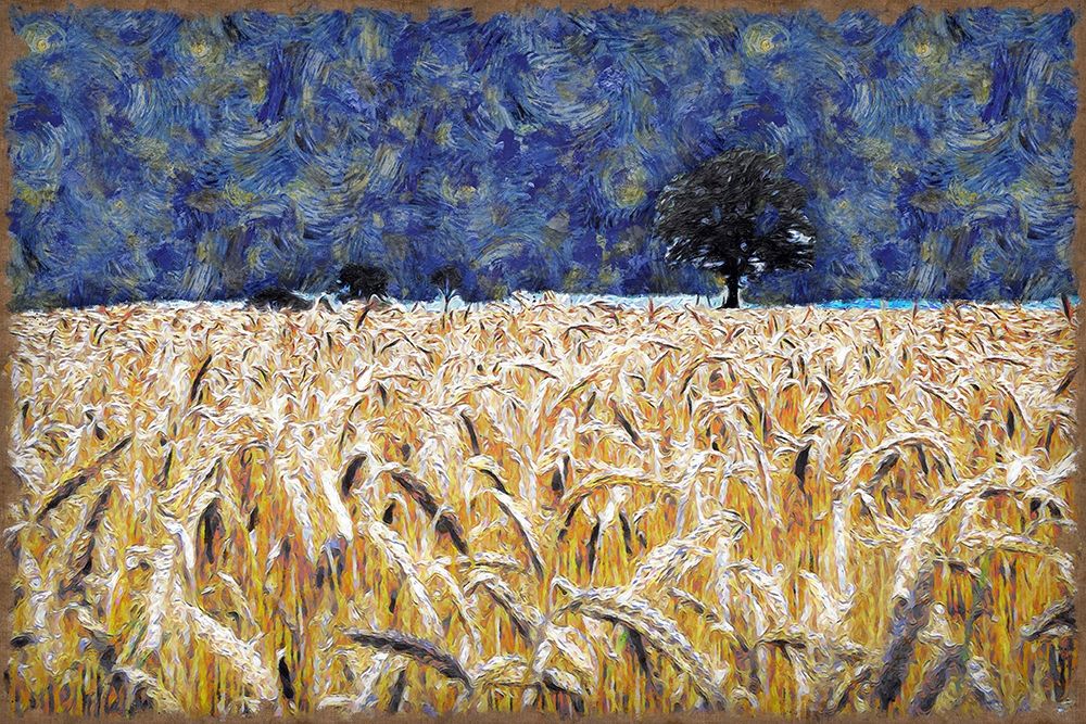 Barley Field art print by Ronald Bolokofsky for $57.95 CAD
