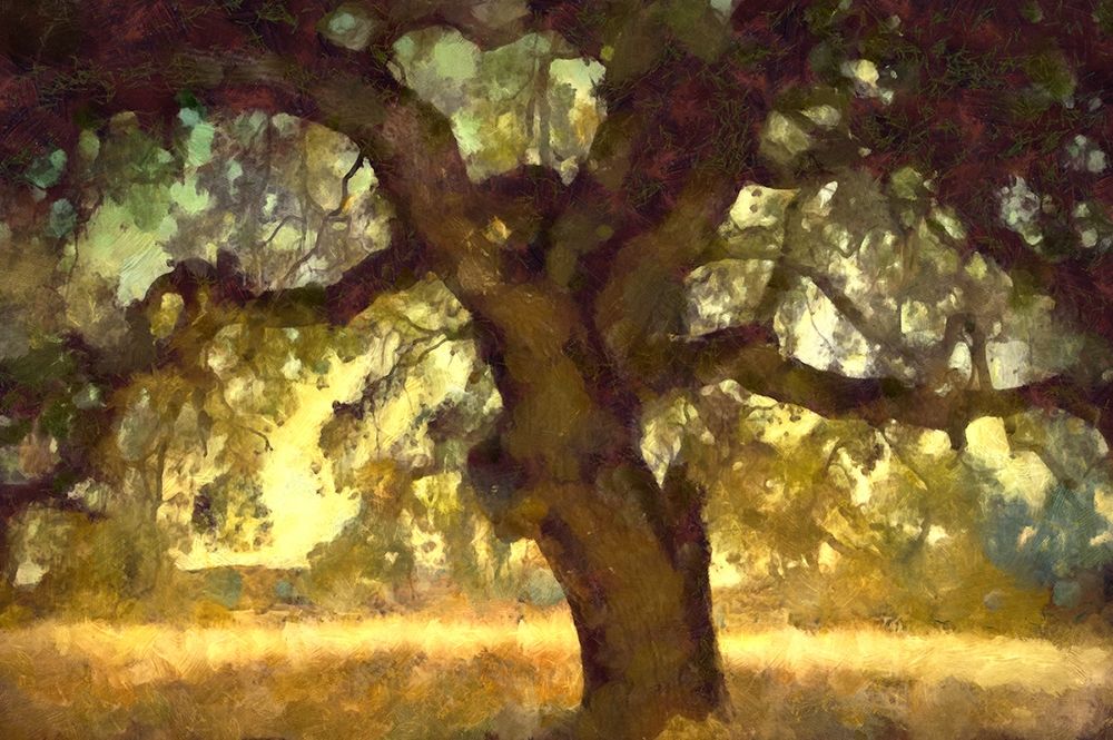 Big Shade I art print by Ronald Bolokofsky for $57.95 CAD