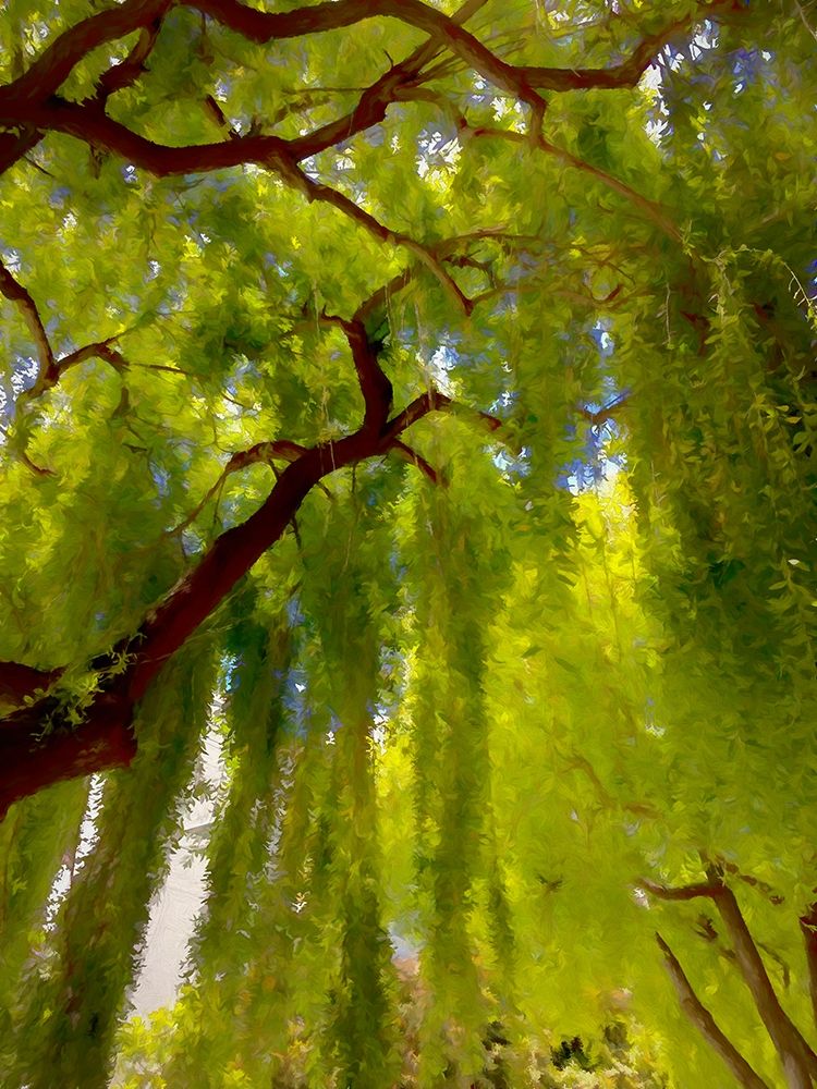Big Shade II art print by Ronald Bolokofsky for $57.95 CAD