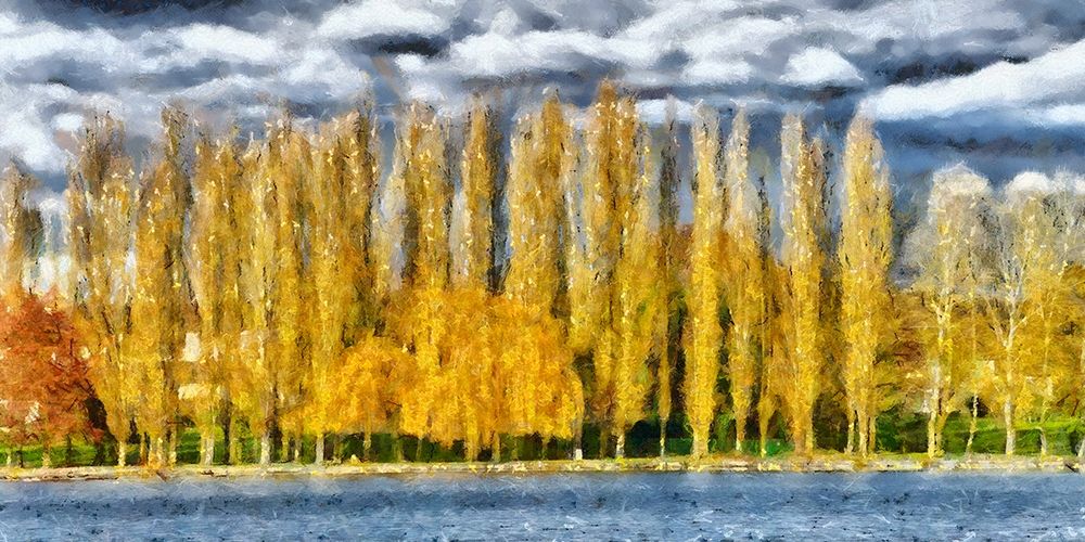 Golden Trees art print by Ronald Bolokofsky for $57.95 CAD