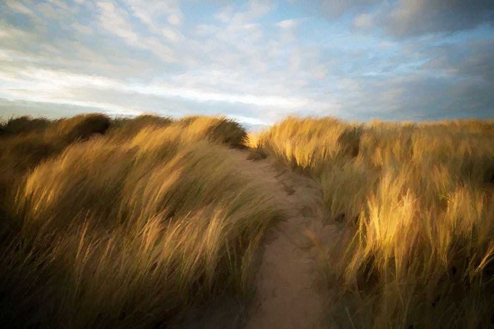Grassy Dune art print by Ronald Bolokofsky for $57.95 CAD