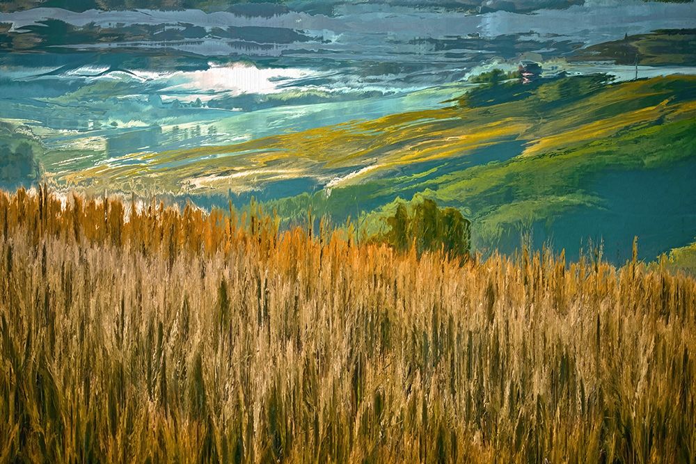 Misty Morning In Tuscany art print by Ronald Bolokofsky for $57.95 CAD