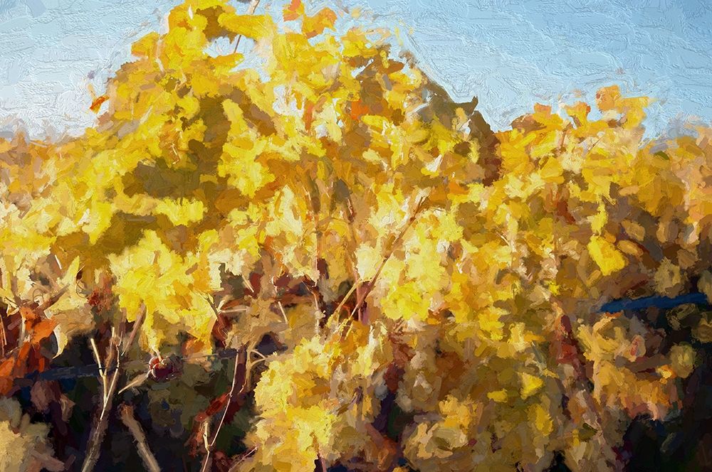 On the Vine art print by Ronald Bolokofsky for $57.95 CAD