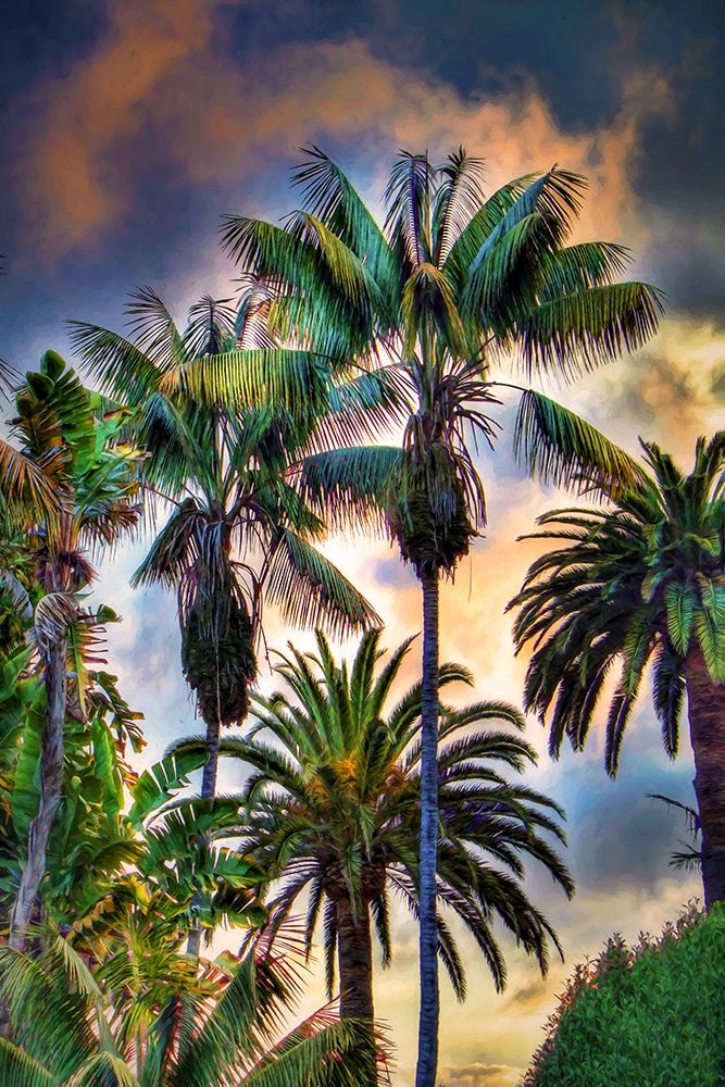 Palm Haven art print by Ronald Bolokofsky for $57.95 CAD