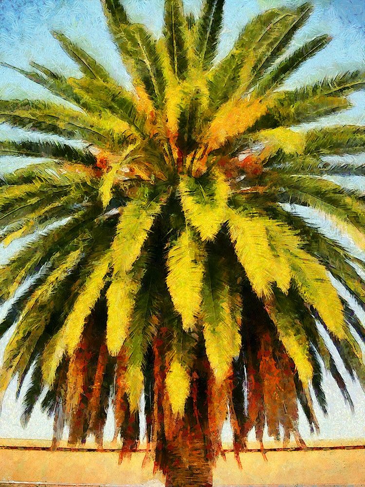 California Palm art print by Ronald Bolokofsky for $57.95 CAD