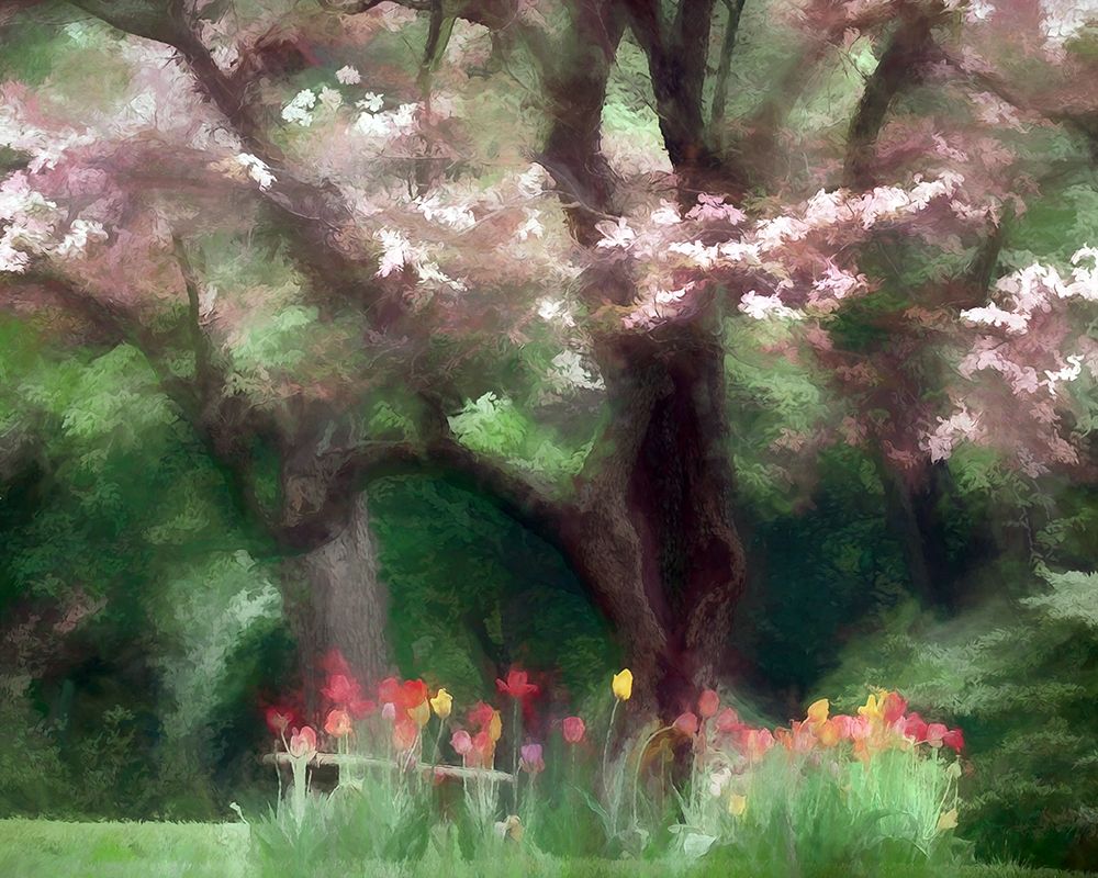 Park Tulips art print by Ronald Bolokofsky for $57.95 CAD