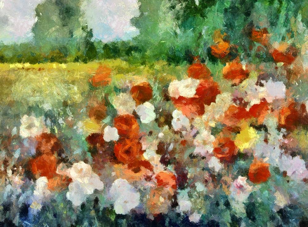 Poppy Fields art print by Ronald Bolokofsky for $57.95 CAD