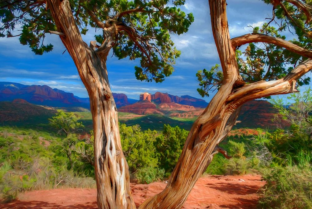 Sedona Red III art print by Ronald Bolokofsky for $57.95 CAD