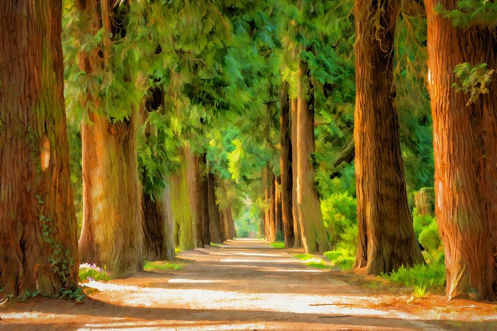 Shady Tree Lane III art print by Ronald Bolokofsky for $57.95 CAD