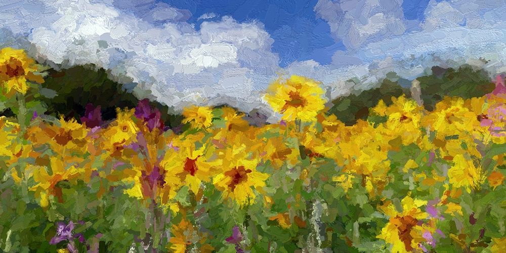 Sunflower Fields II art print by Ronald Bolokofsky for $57.95 CAD