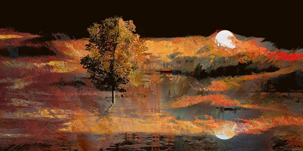 Sunset Reflections art print by Ronald Bolokofsky for $57.95 CAD