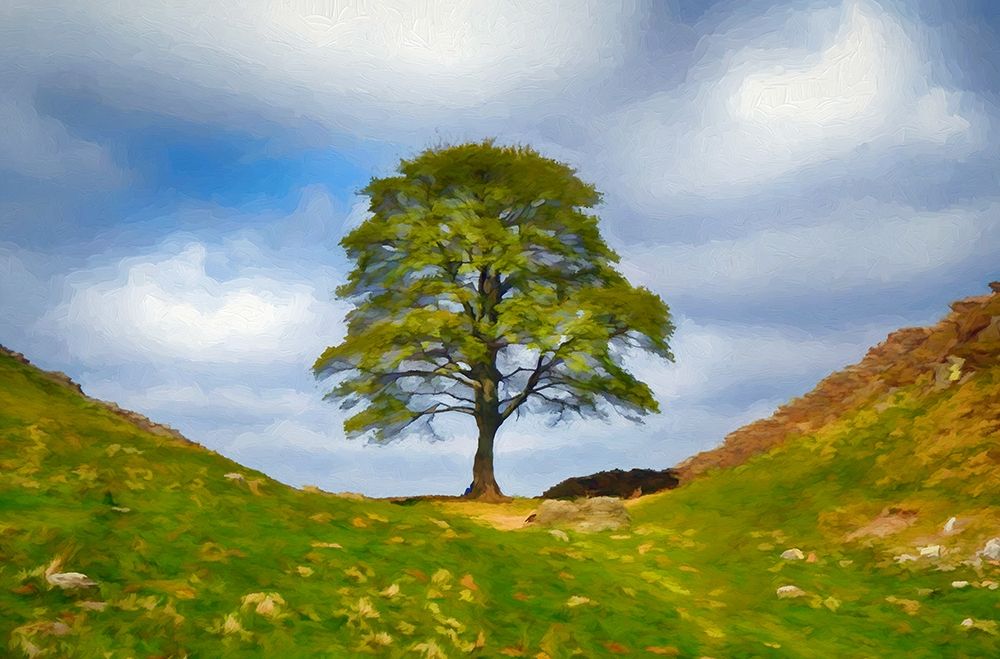 Sycamore Hill art print by Ronald Bolokofsky for $57.95 CAD