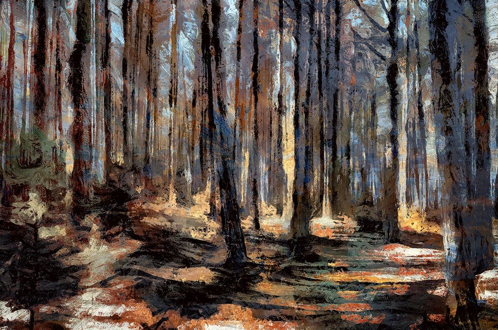 The Forest Floor I art print by Ronald Bolokofsky for $57.95 CAD
