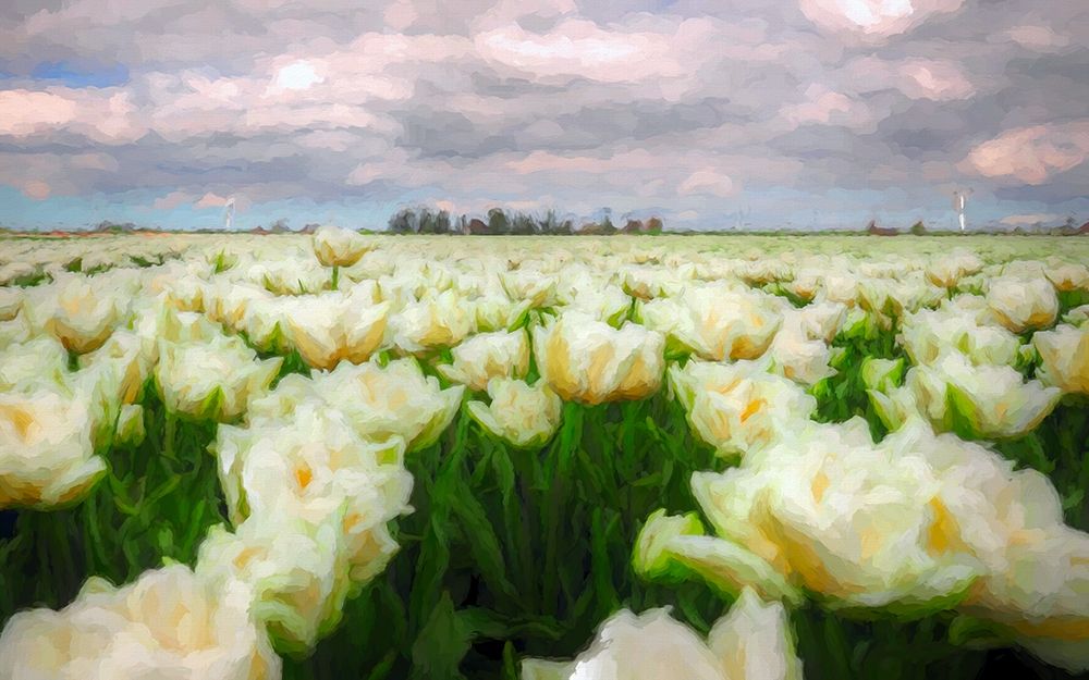 Tulip Field art print by Ronald Bolokofsky for $57.95 CAD
