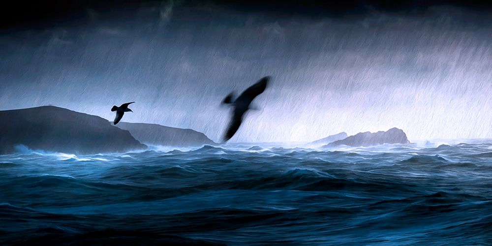 Flying Through the Storm art print by Ronald Bolokofsky for $57.95 CAD