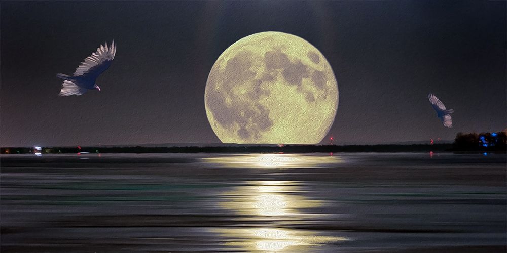 Full Moon Setting art print by Ronald Bolokofsky for $57.95 CAD