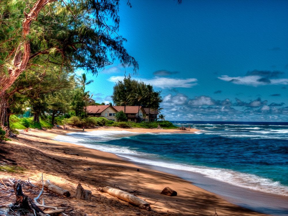 On the Beach in Kauai art print by Ronald Bolokofsky for $57.95 CAD
