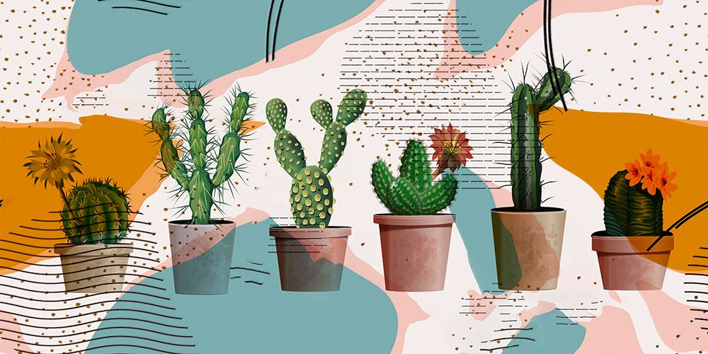 Cactus Party art print by Ronald Bolokofsky for $57.95 CAD