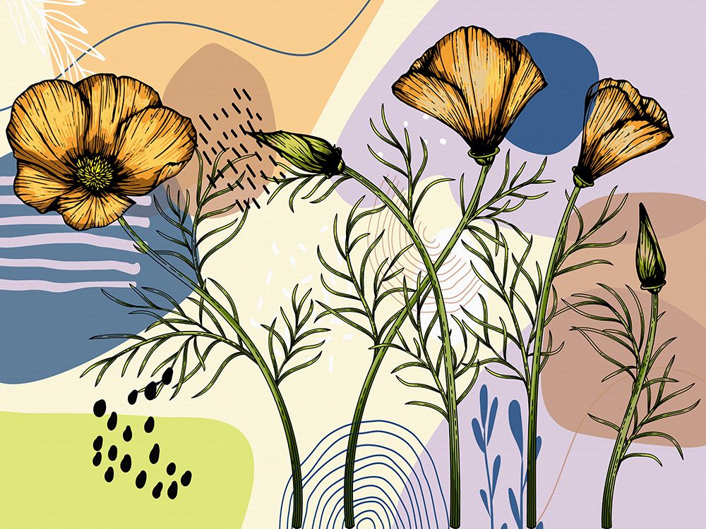 California Poppies art print by Ronald Bolokofsky for $57.95 CAD