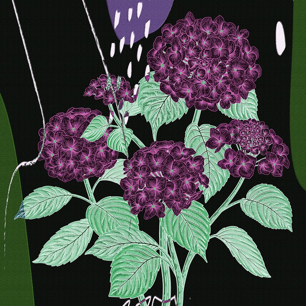 Hydrangea 692 art print by Ronald Bolokofsky for $57.95 CAD