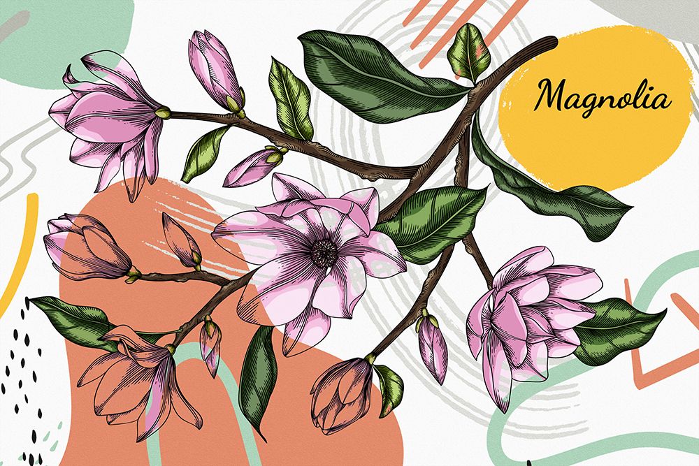 Magnolia 713 art print by Ronald Bolokofsky for $57.95 CAD