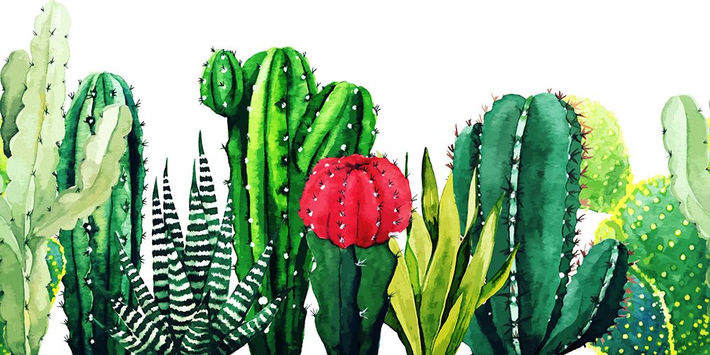 Tucson Garden 598 art print by Ronald Bolokofsky for $57.95 CAD
