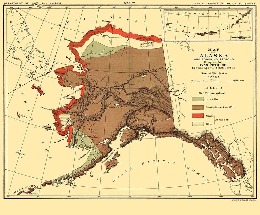Alaska Fox Habitat - Bien 1882 art print by Bien for $57.95 CAD