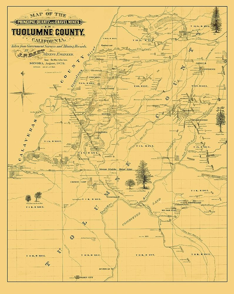Tuolumne California Landowner - Dart 1878 art print by Dart for $57.95 CAD