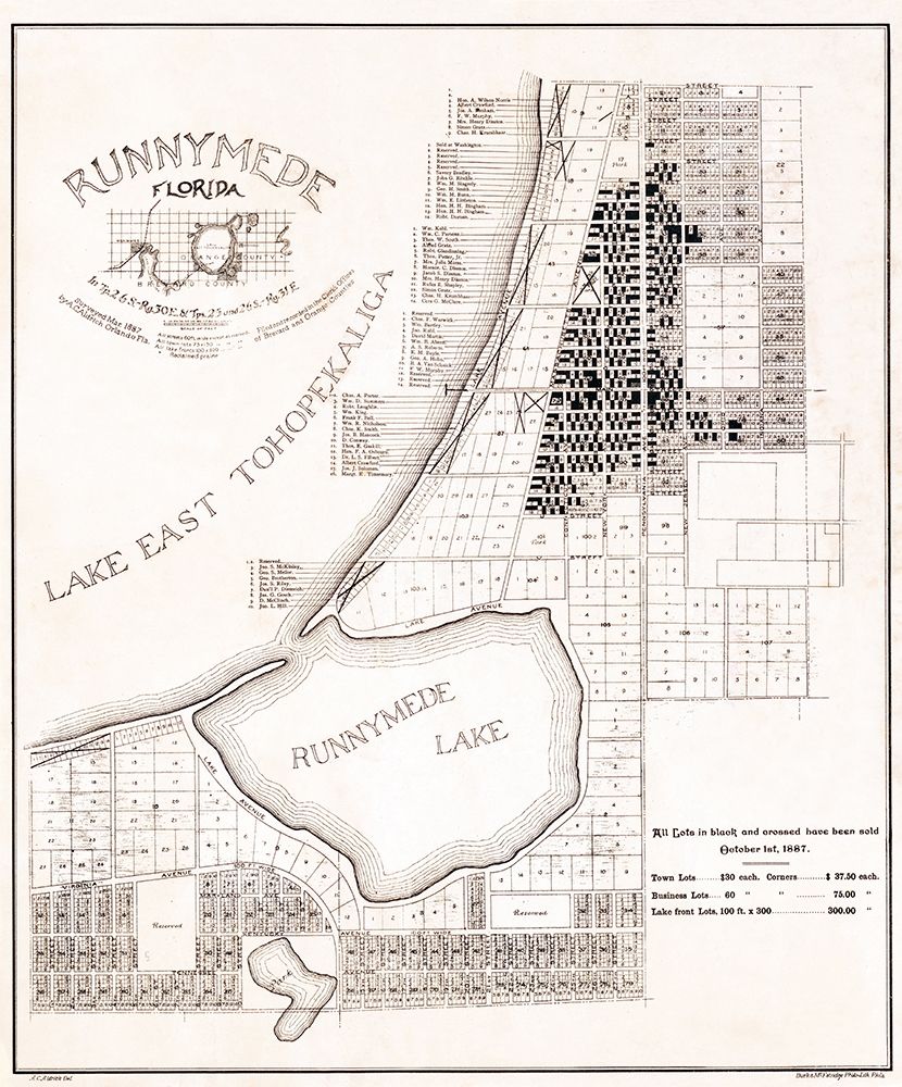 Runnymede Florida - Aldrich 1887 art print by Aldrich for $57.95 CAD
