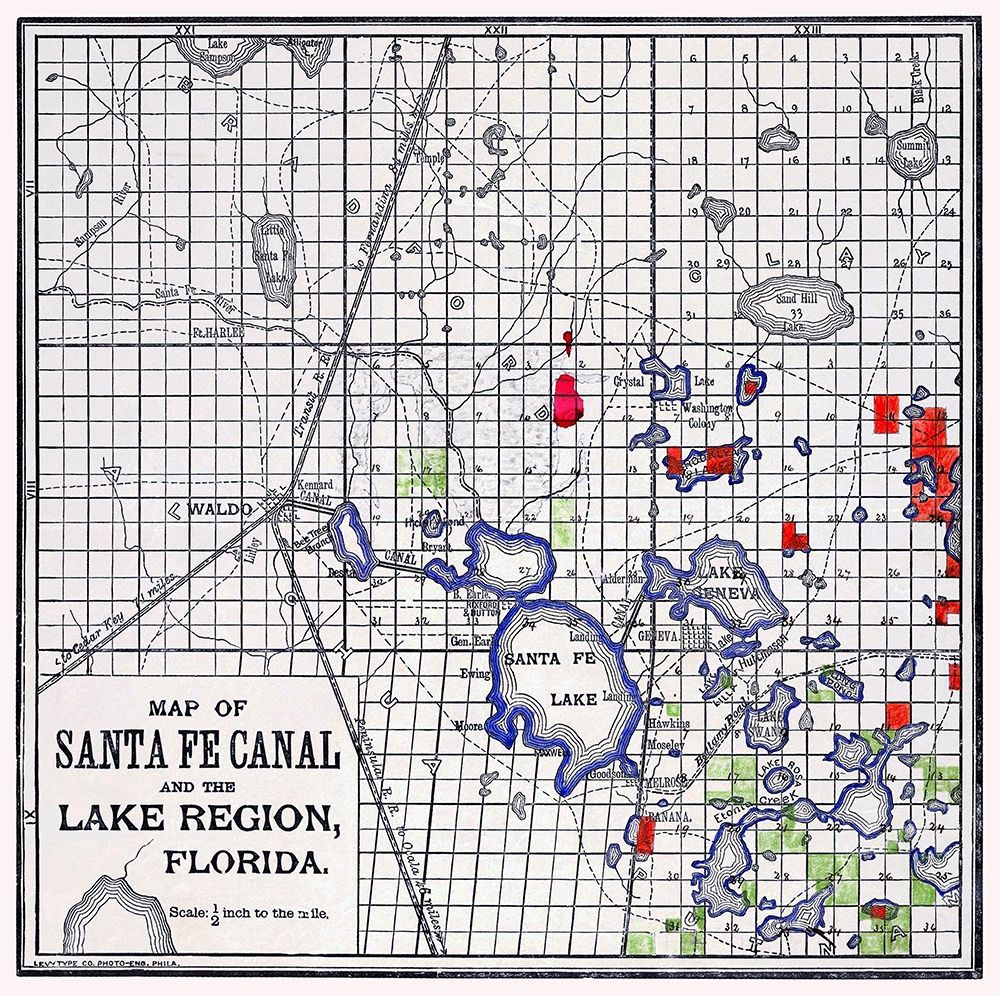 Florida - Levy Type 1876 art print by Levy Type for $57.95 CAD