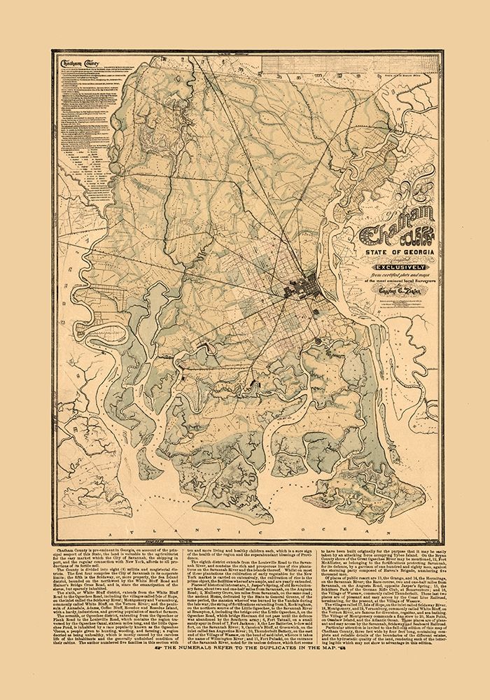 Chatham County Georgia - Platen 1875 art print by Platen for $57.95 CAD