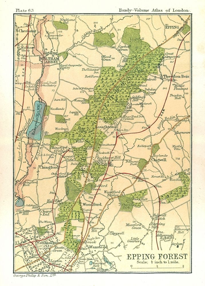 Epping Forest London England - Philip 1904 art print by Philip for $57.95 CAD