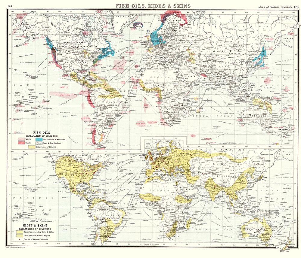 Global Fish Oils Hides Skins - Bartholomew 1907 art print by Bartholomew for $57.95 CAD