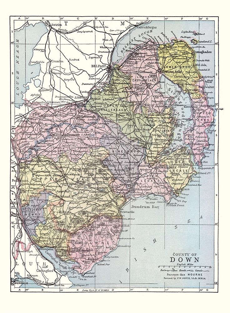 Down County Ireland - Bartholomew 1882 art print by Bartholomew for $57.95 CAD
