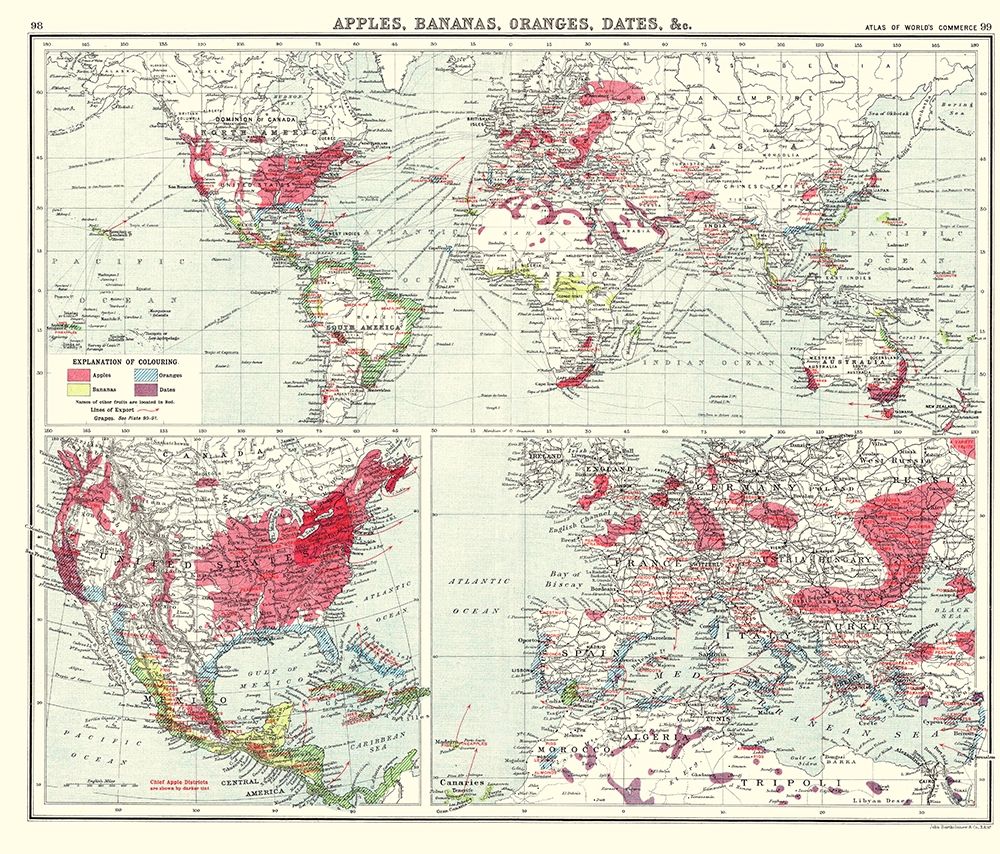 Apples Bananas Oranges Dates World - Newnes 1907 art print by Newnes for $57.95 CAD
