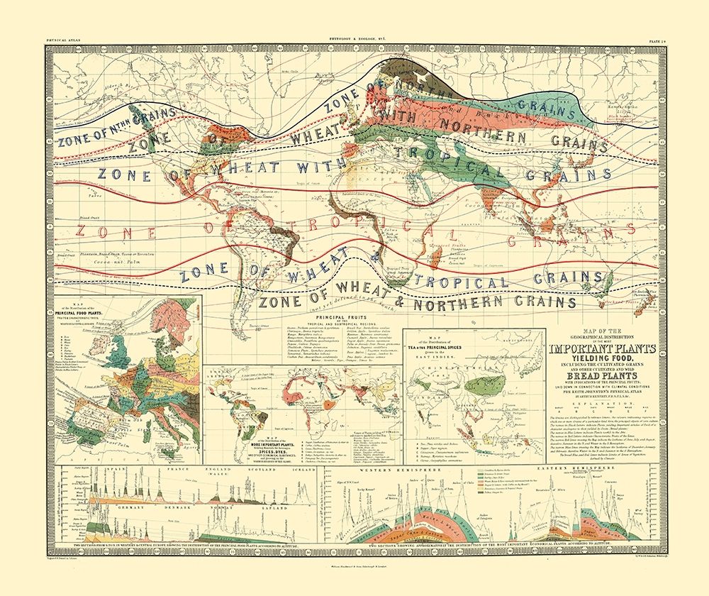 World Cultivation Grains - Johnston art print by Johnston for $57.95 CAD