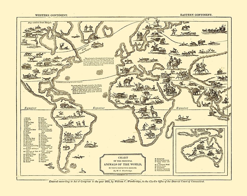 Animals of World - Woodbridge 1831 art print by Woodbridge for $57.95 CAD