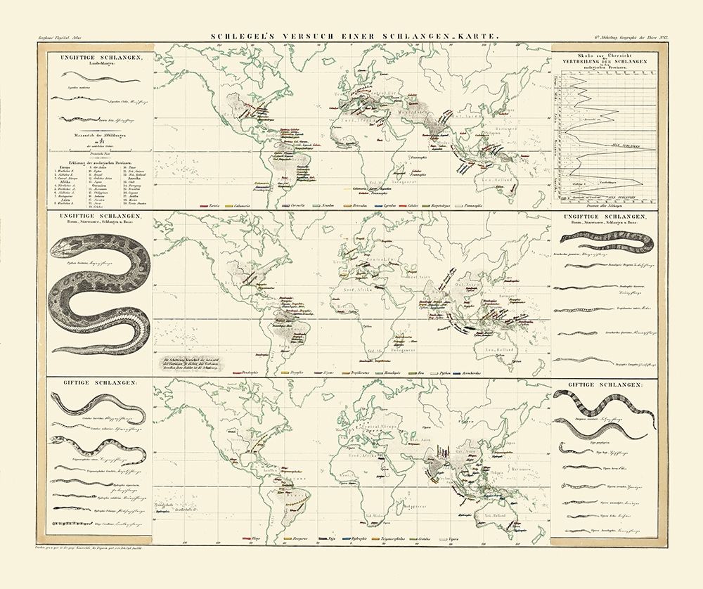 World Snakes - Berghaus art print by Berghaus for $57.95 CAD