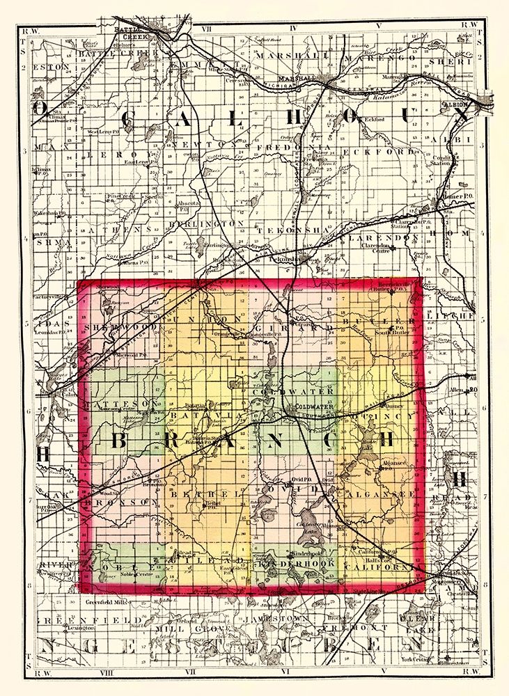 Branch Michigan - Walling 1873 art print by Walling for $57.95 CAD
