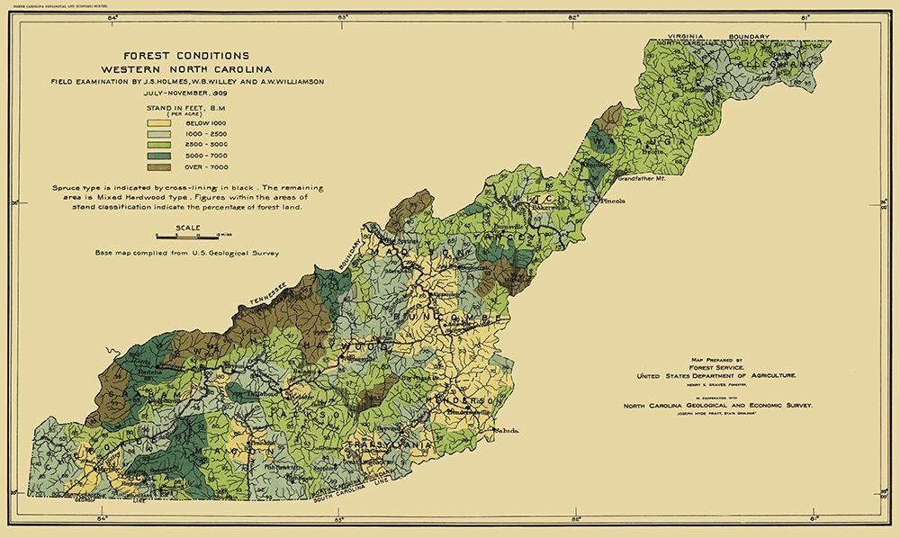 Western North Carolina Forest Conditions 1909 art print by USFS for $57.95 CAD