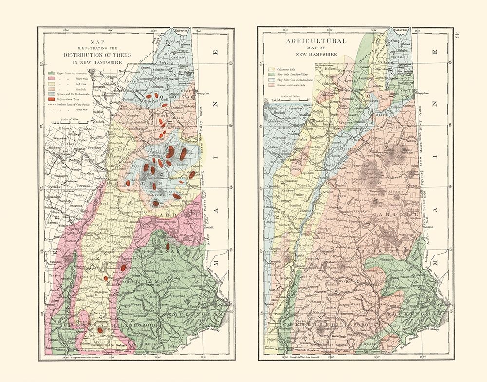 New Hampshire Agricultural - Hitchcock 1877 art print by Hitchcock for $57.95 CAD