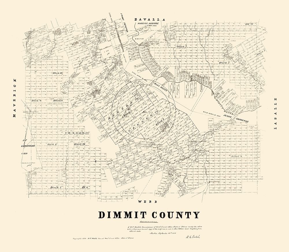 Dimmit County Texas - Walsh 1879 art print by Walsh for $57.95 CAD