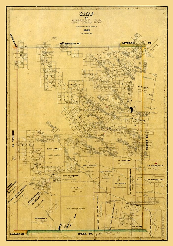 Duval County Texas - Arlitt 1875 art print by Arlitt for $57.95 CAD